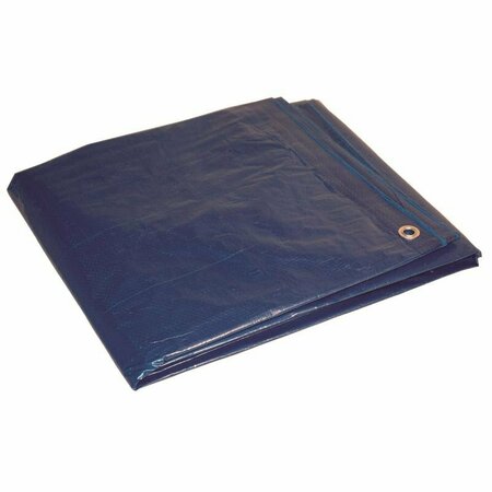 DRY TOP 10 ft. W X 12 ft. L Medium Duty Polyethylene Poly Tarp Blue 01012